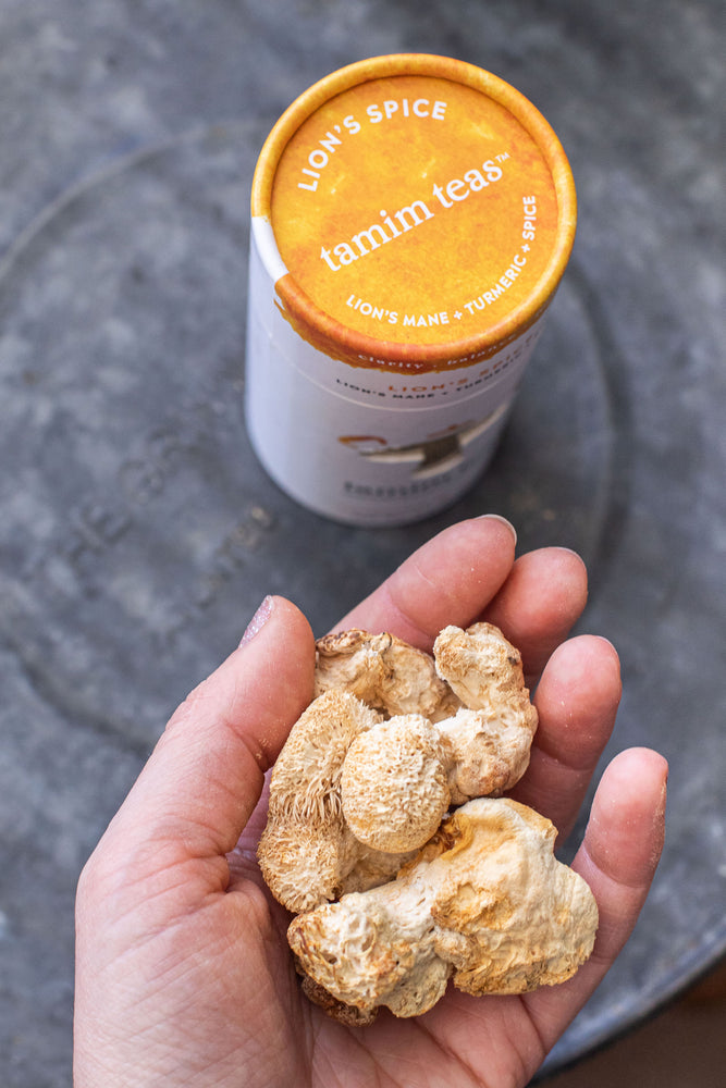 dried lions mane mushrooms