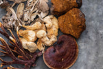 Medicinal Mushrooms for Stress and Anxiety