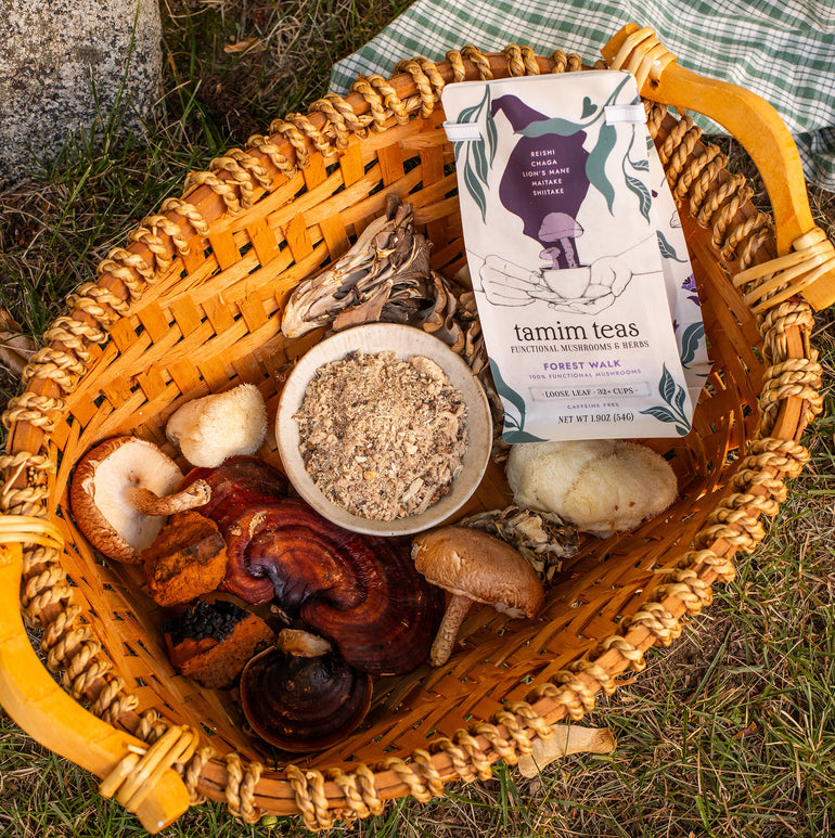 Forest Walk | 100% Wellness Mushroom Tea